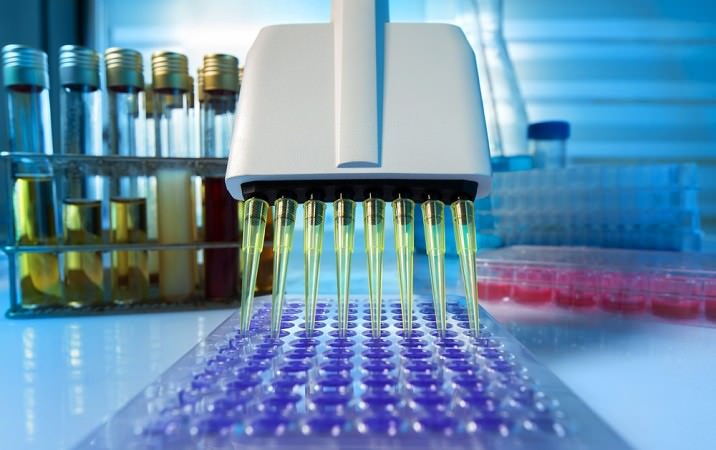 pcr ПЦР